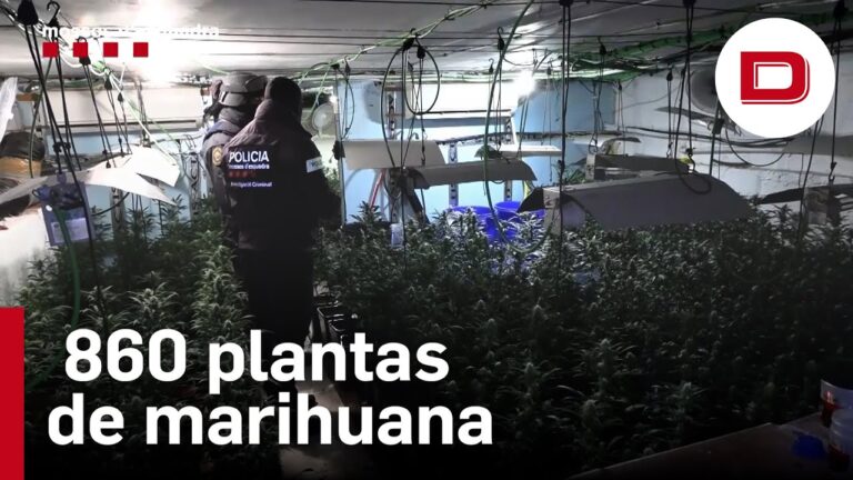 Explorando los Mercados Artesanales de El Prat de Llobregat