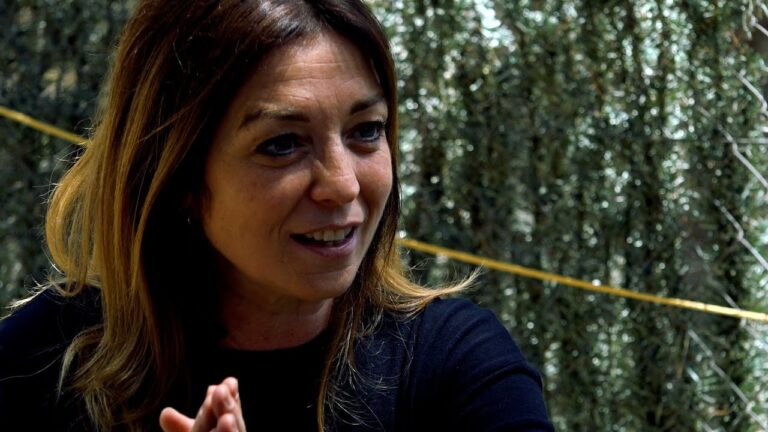 Opciones educativas en Castelldefels: ¿Dónde estudiar?