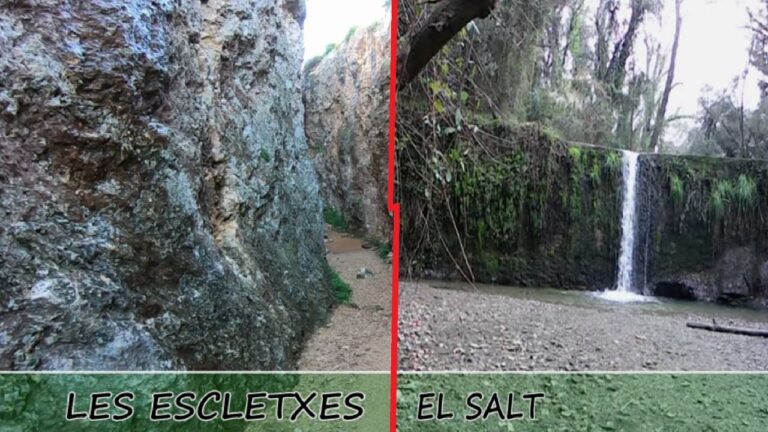 Excursiones en Bicicleta desde Sant Just Desvern: Mejores Rutas