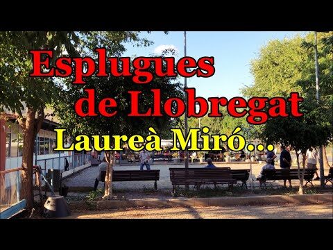 Zonas Comerciales en Esplugues de Llobregat: Gu&iacute;a Completa