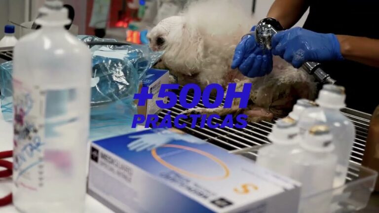 Gu&iacute;a para Obtener Informaci&oacute;n sobre Asistencia Sanitaria en Molins de Rei